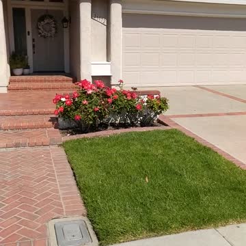 21972 Salcedo - Water and Algae spreading down 4 houses