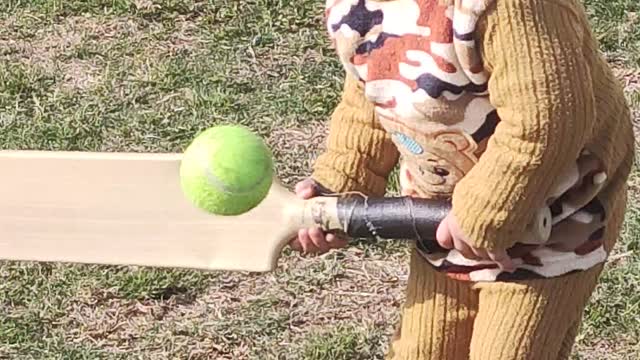 A Kid with Cricket Fever