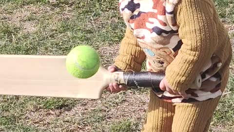 A Kid with Cricket Fever