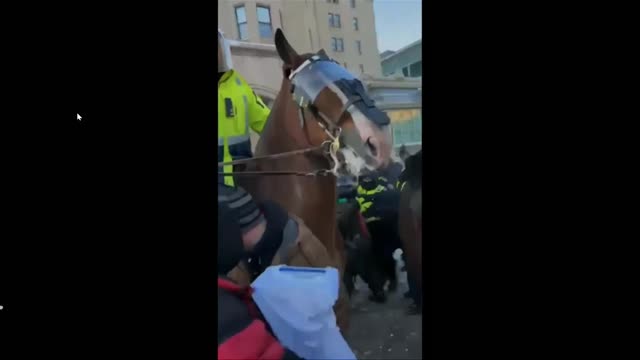 Pisoteado por los caballos de la policía en Ottawa