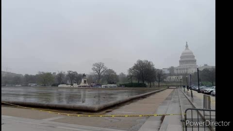 DRAINED THE SWAMP