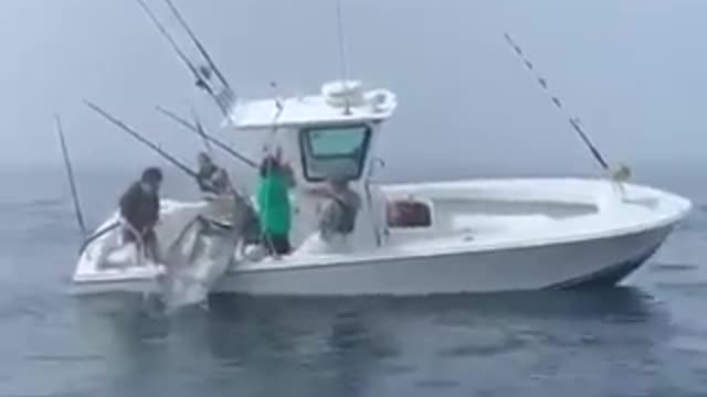 Watch how they manged to catch the GIANT fish