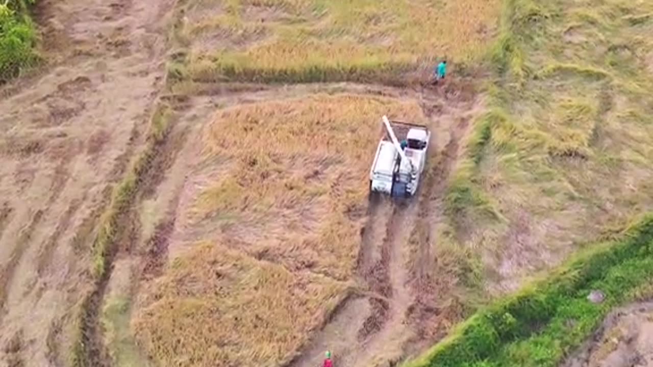 Exploring Village Life in Polonnaruwa 🇱🇰 #DroneViews #FarmingLife"