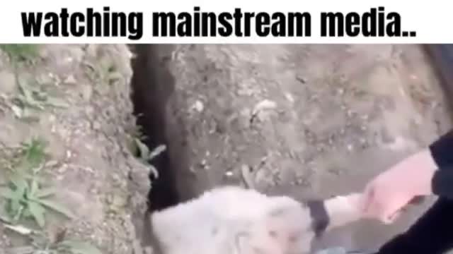 MEME WARS !! 😂😂😂#TheStruggleIsREAL