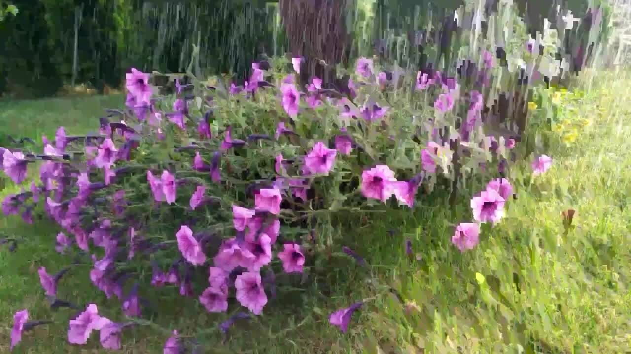 Relaxing Rain, Calm Music, Relaxing Music, Sleeping Music, Relaxing music soothing music