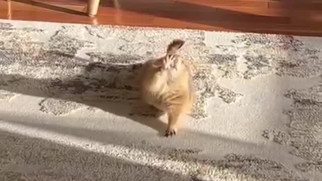 Morning gymnastics