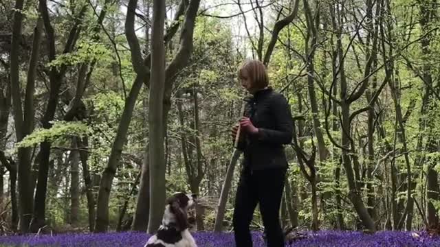 Dog dances to Rhythm of flute played by women in front of the.....