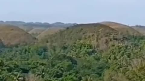 Amazing Chocolate Hills!!