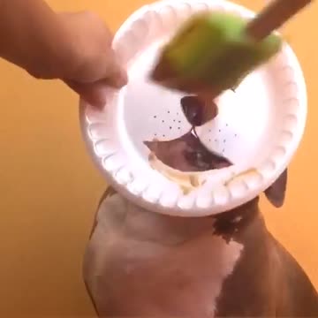 Plate face loves peanut butter