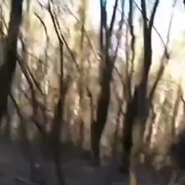 Ukrainian armed forces destroys many russian equipment