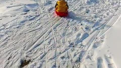 Sledding in rice fields