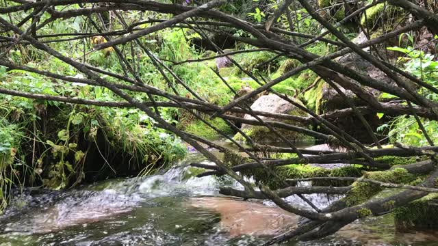 Beautiful mountain stream