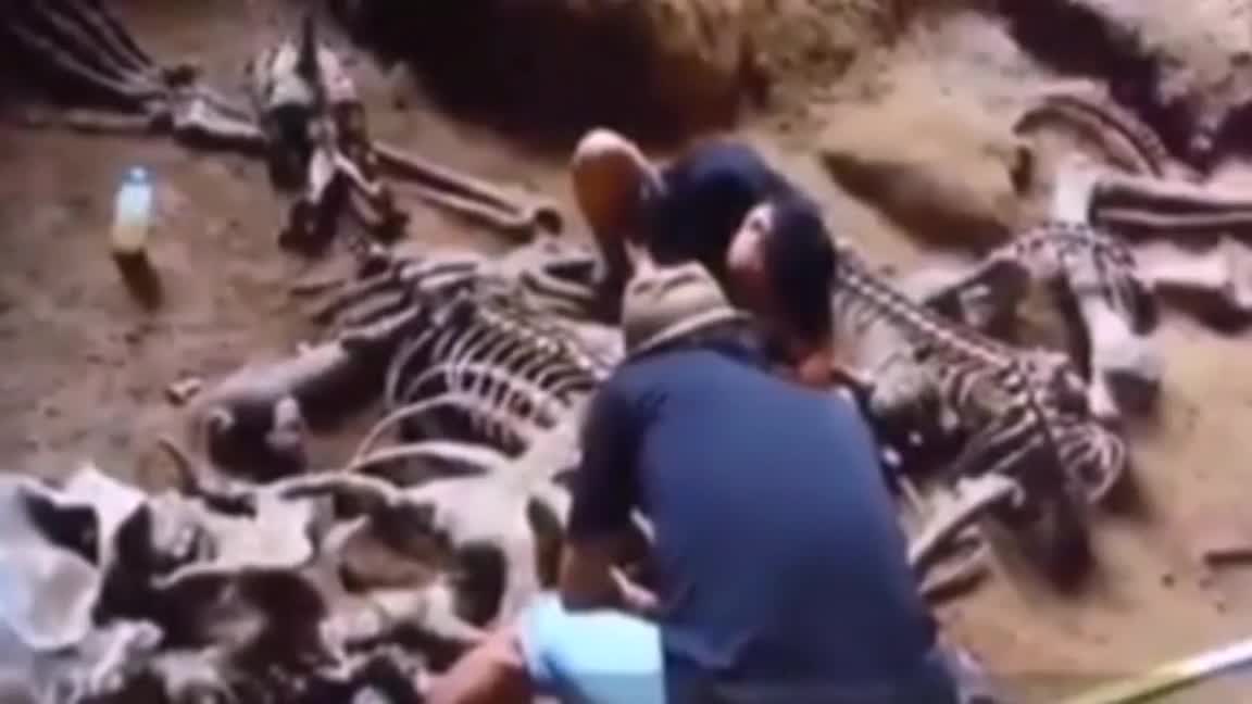 Giant bones found