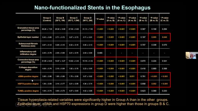 17. Nano-functionalized Stents in the Esophagus and the Gastrointestinal Tract