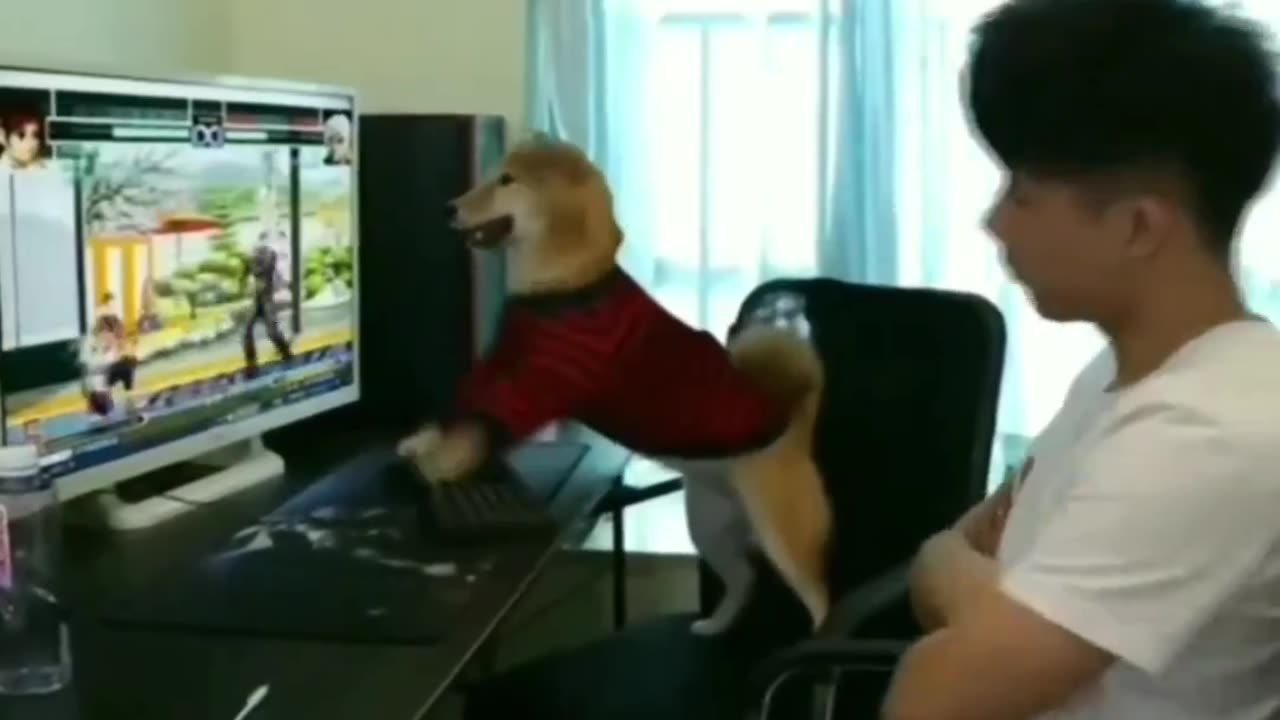 When my mom turns off my computer