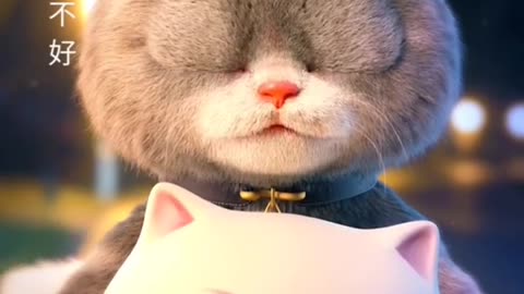 Sad video cat