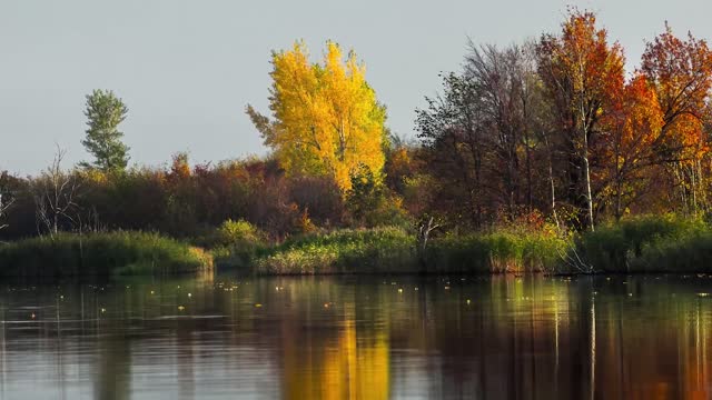 Beautiful moments on the lake