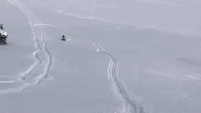 Deep powder day