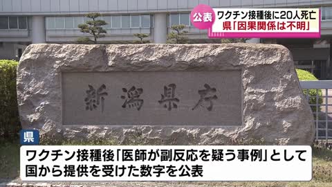 nigata city coronaVaccine News