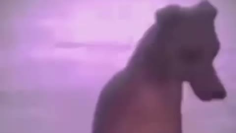 PUBG PRO PLAYER