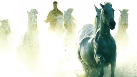 galloping horses