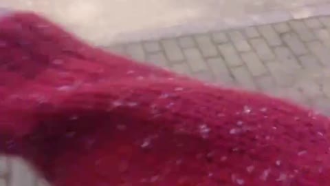 It's starting to snow