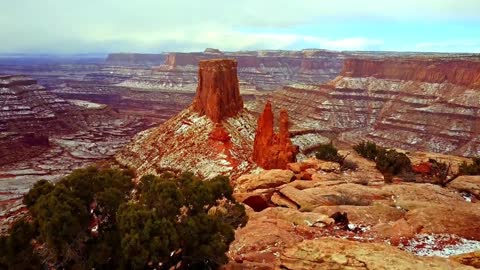 Utah * Early designation as the "Bee Colony State"