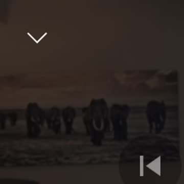 Insanity of control pt 2