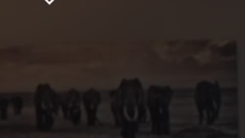 Insanity of control pt 2