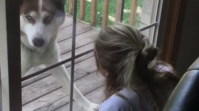 Girl sits at window and barks at dog