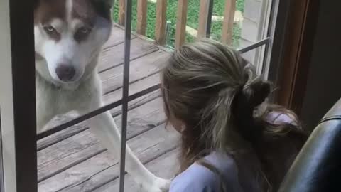 Girl sits at window and barks at dog