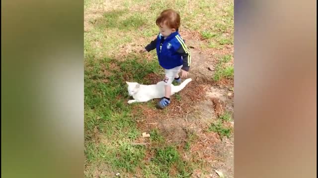 Baby and Cat Fun and Cute Funny Baby