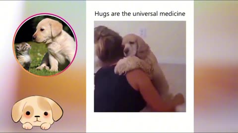 Canine Capers: A Bundle of Joyful Moments with Man's Best Friend