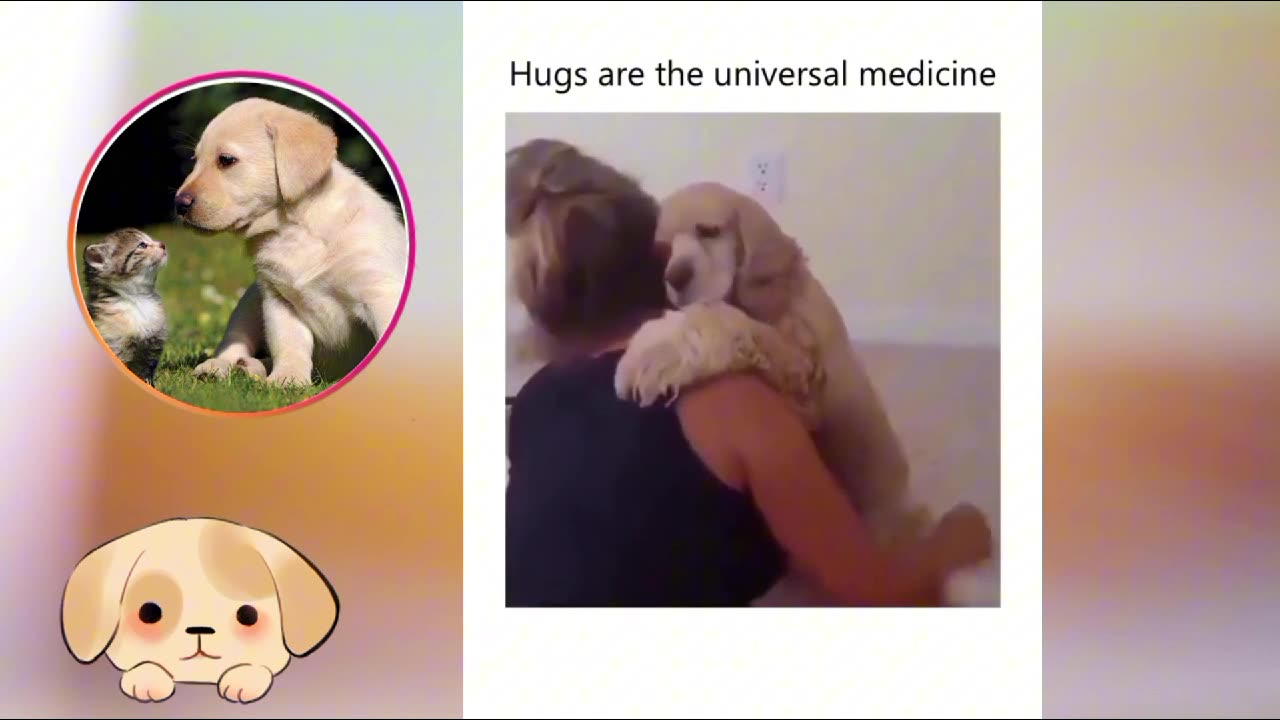 Canine Capers: A Bundle of Joyful Moments with Man's Best Friend