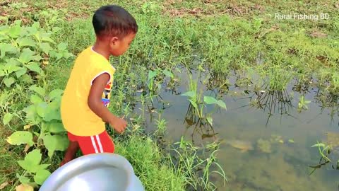 Amazing catching fish by hand
