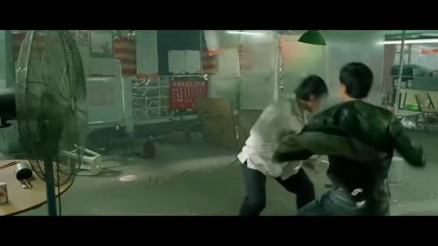 Donnie Yen "Flash Point" - Market Fight Scene