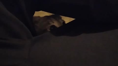 Play Time