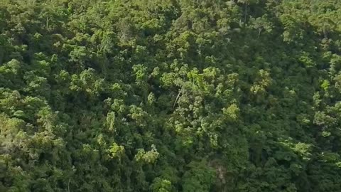 Bohol super scary sky cable car