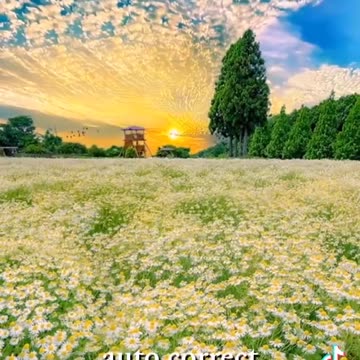 Facts that can save your life part 2