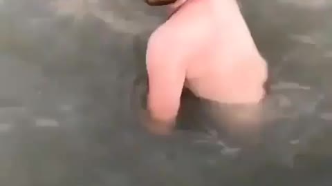 This is a beautiful and charming water-dwelling species