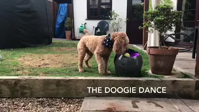 The Doogie Dance