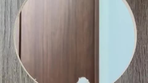 American_Cat_Video)
