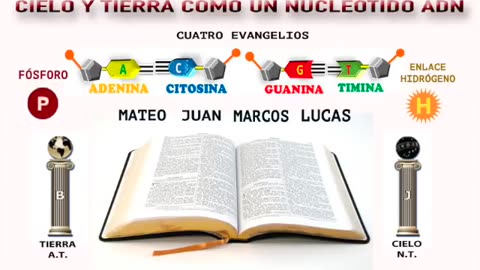 55. La biblia es ciencia ADN el misterio de los 4 seres vivientes