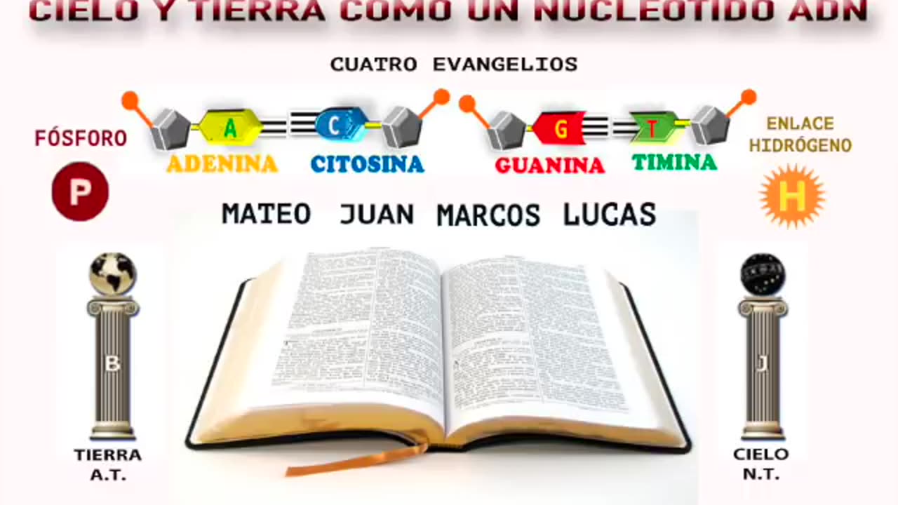 55. La biblia es ciencia ADN el misterio de los 4 seres vivientes