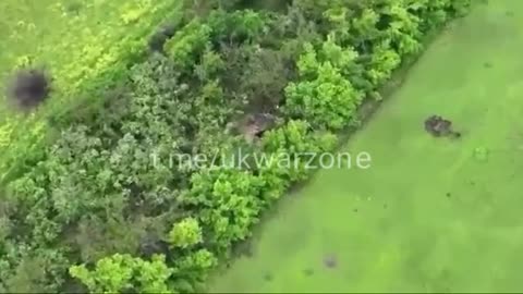 Aftermath of Airstrikes in a Forest Strip