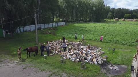 Реабилитационный центр Становление
