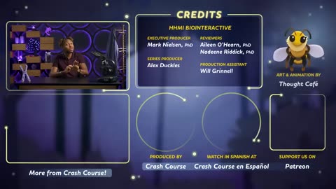 Mitosis and the Cell Cycle: Crash Course Biology