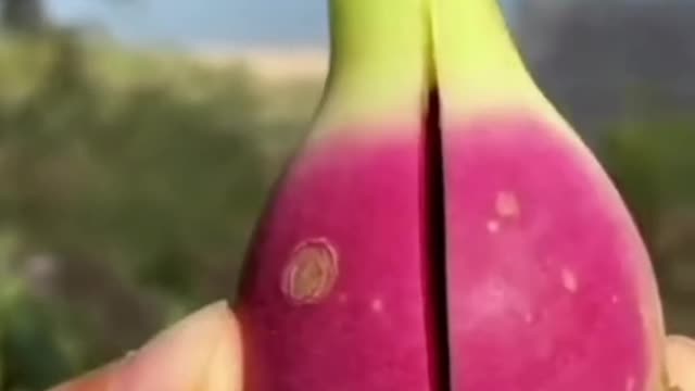 Fruits Video Farm Fresh Ninja Fruit Cutting Satisfying Fruit | Amazing Fruits Video #fruits #short