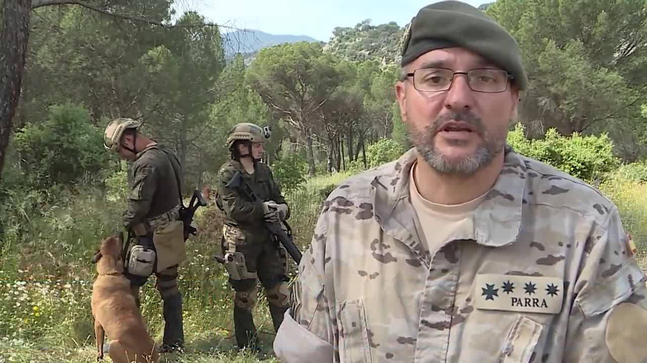 El perro de combate