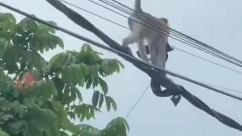 This raises lots of questions 😂😂